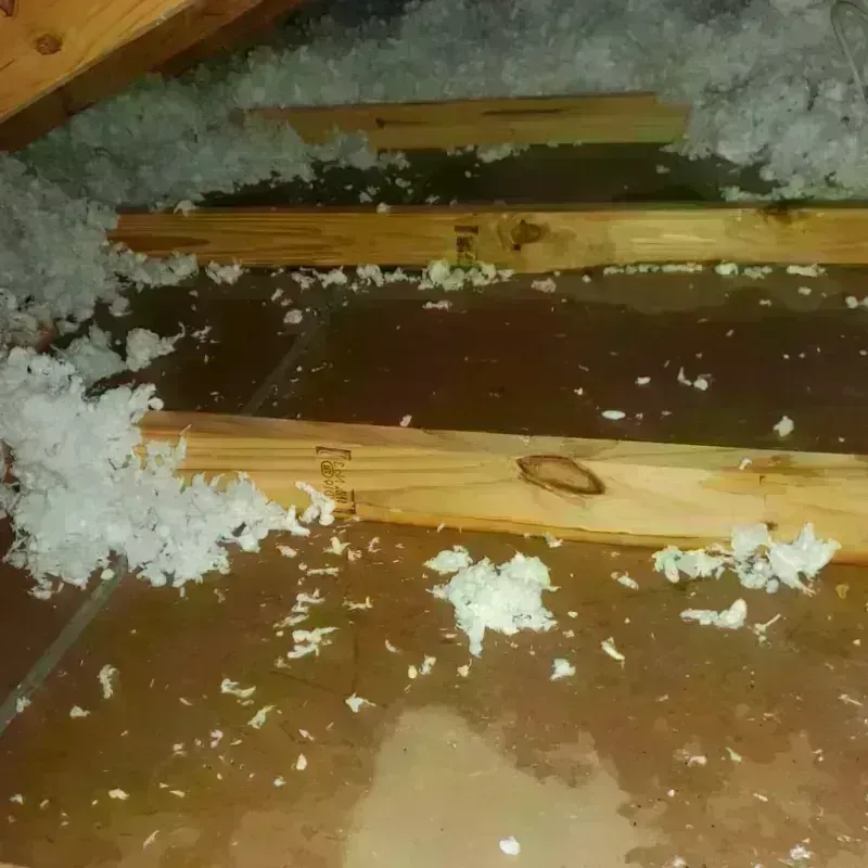 Attic Water Damage in Canton, PA