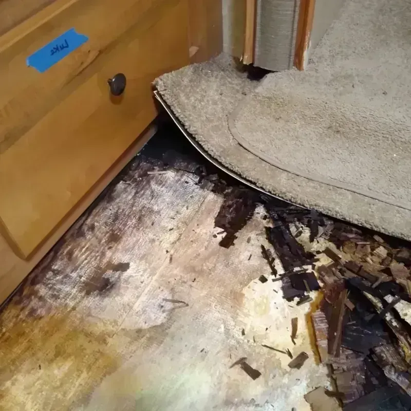 Wood Floor Water Damage in Canton, PA